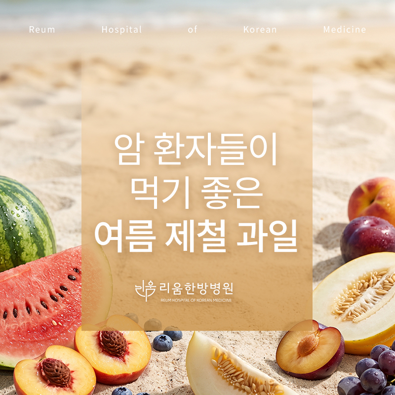 암 환자가 먹기 좋은 여름철 과일 6가지